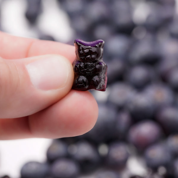 Aronia berry gummy chews.